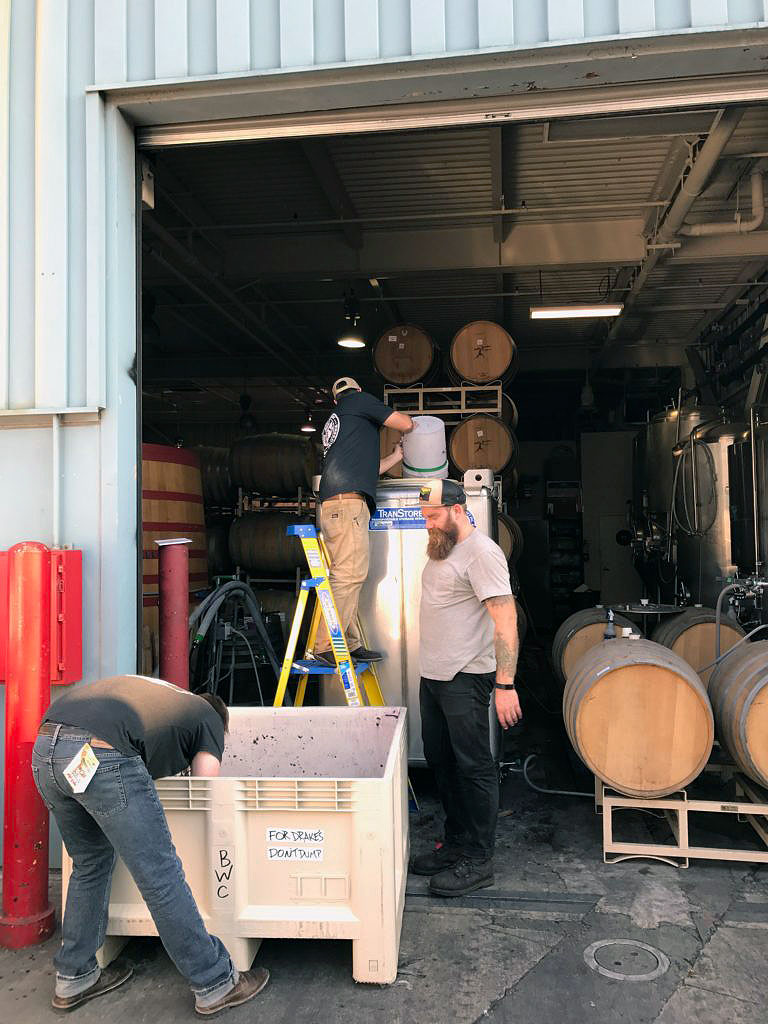 Winery workers load grapes into a fermentation bin near barrels and tanks
