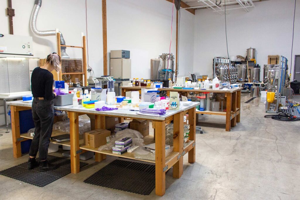 Overview of lab at Berkeley Brewing Science with a worker overseeing several rows of tables