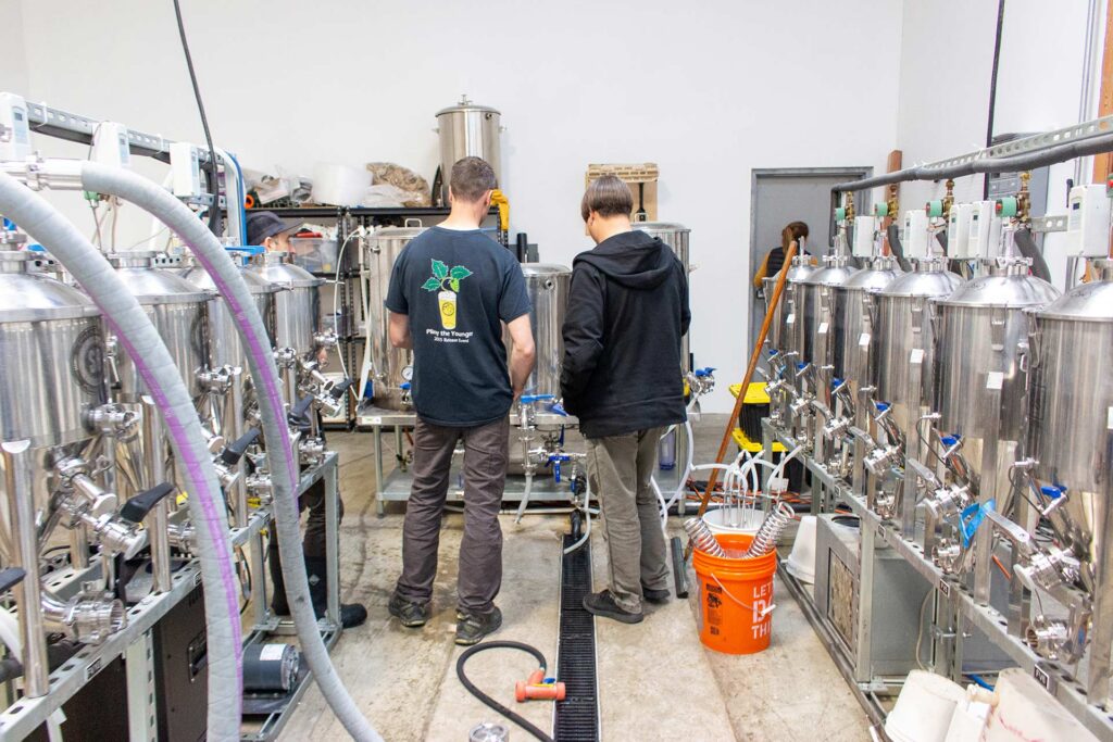 Two rows of small fermenters at Berkeley Brewing Science