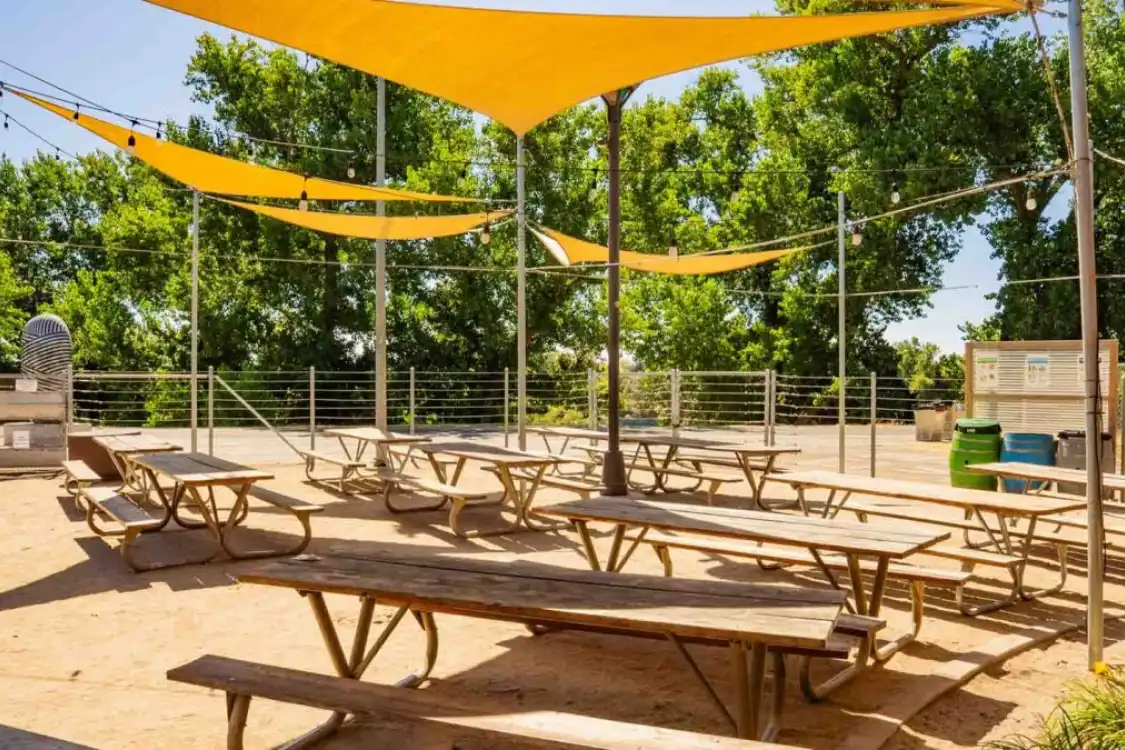 Outdoor picnic area with shaded tables and trees