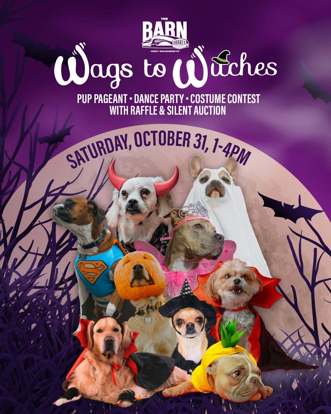 Pilots & Pups presents Wags To Witches Pup Pageant, Dance Party, & Costume Contest with Raffle & Silent Auction Saturday, October 31st at Drake's: The Barn