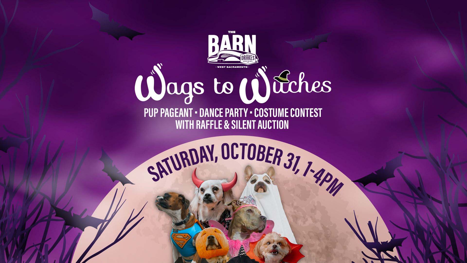 Pilots & Pups presents Wags To Witches Pup Pageant, Dance Party, & Costume Contest with Raffle & Silent Auction Saturday, October 31st at Drake's: The Barn