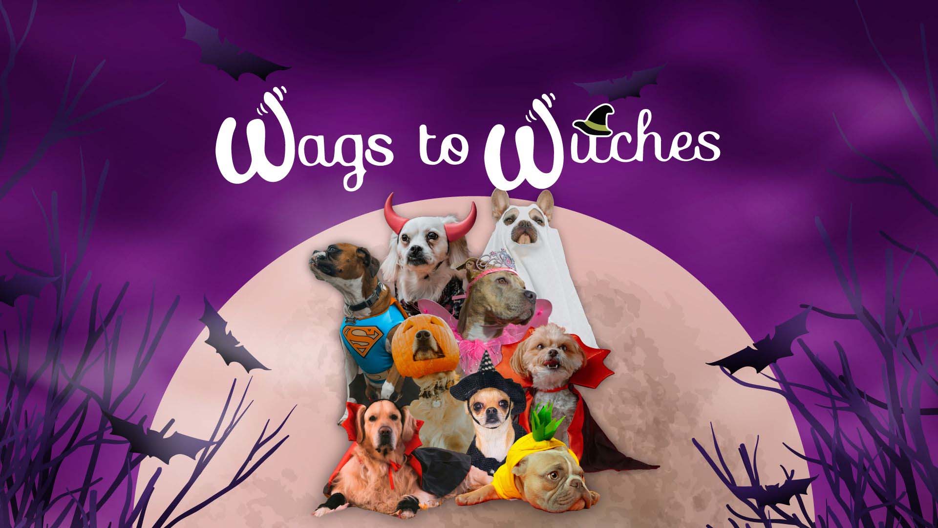 Wags To Witches