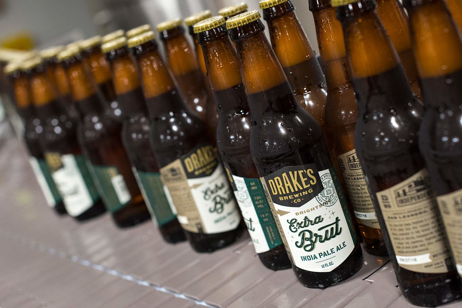 Brightside-Extra-Brut-IPA---Bottling-Line Brightside Extra Brut IPA