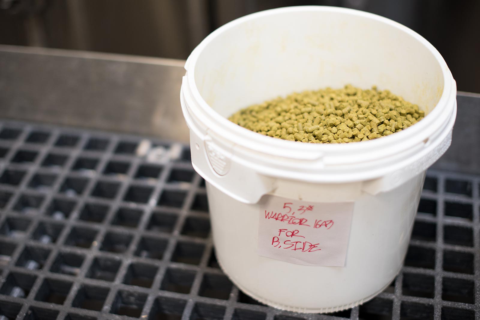 Brightside-Extra-Brut-IPA---Warrior-Hops Warrior Hops for Brightside Extra Brut IPA