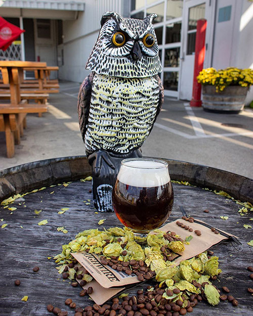 Electric-Owl-On-Nitro-at-Drake's-Barrel-House